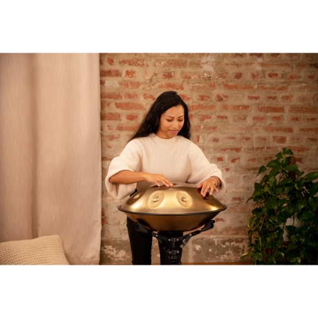 Meinl Sonic Energy HPSTL92 Stainless Steel C# Minör 9 Note Handpan (Vintage Gold)<br>Fotoğraf: 8/8