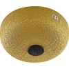Meinl Sonic Energy PSTD3GOM Pocket Steel A-major 3'' Tongue Drum (Gold)<br>Fotoğraf: 2/8