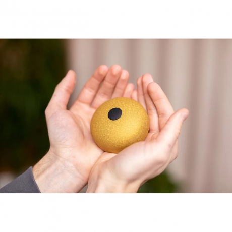 Meinl Sonic Energy PSTD3GOM Pocket Steel A-major 3'' Tongue Drum (Gold)<br>Fotoğraf: 6/8