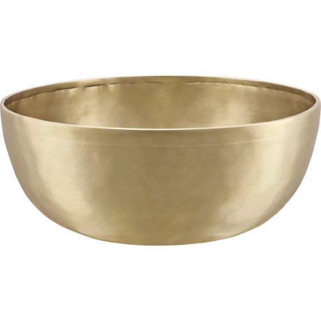 Meinl Sonic Energy SB-E-2200 Energy Therapy Singing Bowl 11.4''<br>Fotoğraf: 1/3