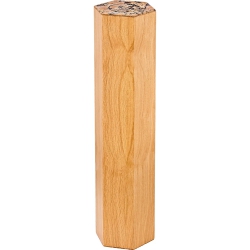 Meinl Sonic Energy Sound Effects Oak Rainmaker (15 dakika)