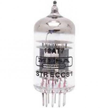 Mesa Boogie 750227F Amfi Lambası<br>Fotoğraf: 1/1