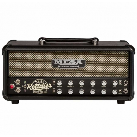 Mesa Boogie Dual Rectoverb Elektro Gitar Kafa Amfi<br>Fotoğraf: 1/1