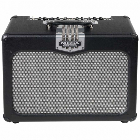 Mesa Boogie Transatlantic TA-30 Kombo Elektro Gitar Amfi<br>Fotoğraf: 1/1