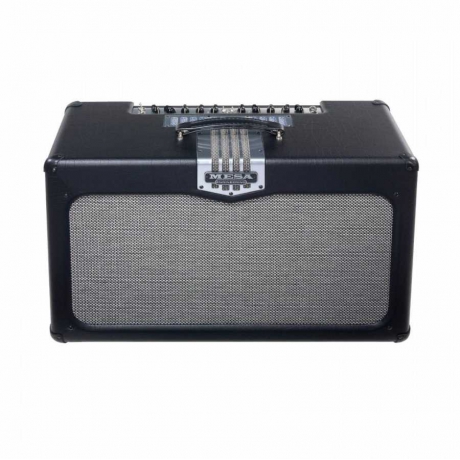 Mesa Boogie Transatlantic TA-30 Kombo Elektro Gitar Amfi<br>Fotoğraf: 1/1