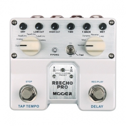 Mooer Reecho Pro Digital Delay Pedalı