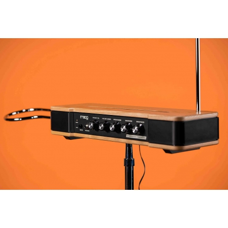 Moog Etherwave Analog Theremin<br>Fotoğraf: 4/8