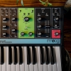 Moog Grandmother Semi-modüler Analog Synthesizer<br>Fotoğraf: 3/5