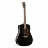Norman Encore B20 HG Presys Akustik Gitar (Black)<br>Fotoğraf: 1/1