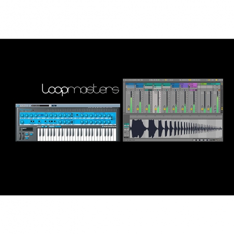 Novation Impulse 49 USB Midi Controller Klavye<br>Fotoğraf: 4/4