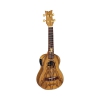 Ortega LIZARD-CC-GB Elektro Concert Ukulele (Lizard)<br>Fotoğraf: 1/2