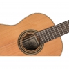 Ortega R19G Traditional Series Klasik Gitar (Natural), Fotoğraf: 4/9