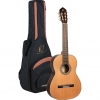 Ortega R19S Traditional Series Klasik Gitar (Natural), Fotoğraf: 9/9