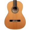 Ortega R20GRG Traditional Series Klasik Gitar (Natural), Fotoğraf: 2/7