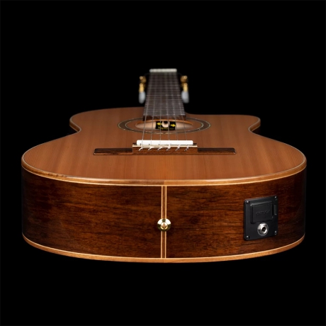 Ortega RCE159SN Performer Series Elektro Klasik Gitar (Natural)<br>Fotoğraf: 10/10