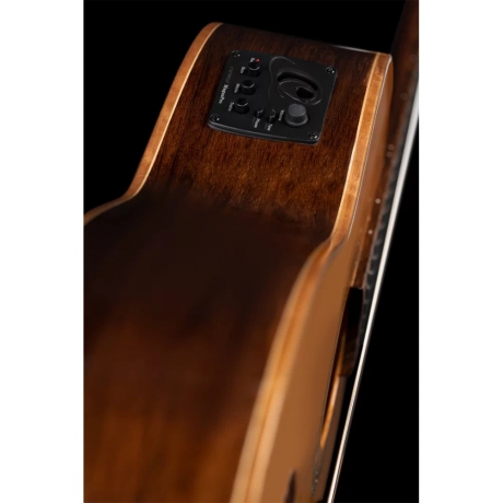 Ortega RCE159SN Performer Series Elektro Klasik Gitar (Natural)<br>Fotoğraf: 9/10