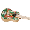 Ortega RUAR-HY Art Series Concert Ukulele (Himalaya)<br>Fotoğraf: 2/3