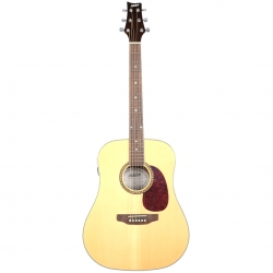 [Outlet] Ashton D25TNM Akustik Gitar (OL 23-23211)