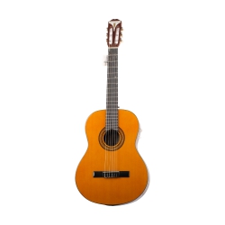 [Outlet] Epiphone Pro1 Klasik Gitar (22-55)