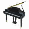 Pearl River GP1100 Baby Grand Dijital Piyano (Siyah)<br>Fotoğraf: 1/1