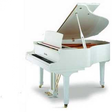 Pearl River GP160 Akustik Kuyruklu Piyano (Parlak Beyaz)<br>Fotoğraf: 1/1