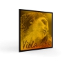 Pirastro Evah Pirazzi Gold Viyola Teli<br>Fotoğraf: 1/1