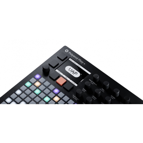 Polyend Play+ Standalone Synthesizer Sampler & MIDI Workstation<br>Fotoğraf: 2/3