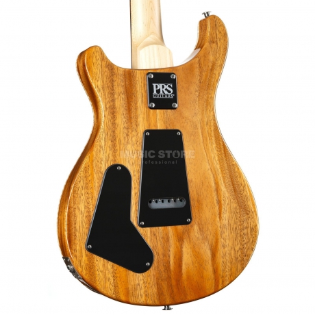 PRS CE 22 Limited Edition Elektro Gitar (Carroll Blue)<br>Fotoğraf: 4/9