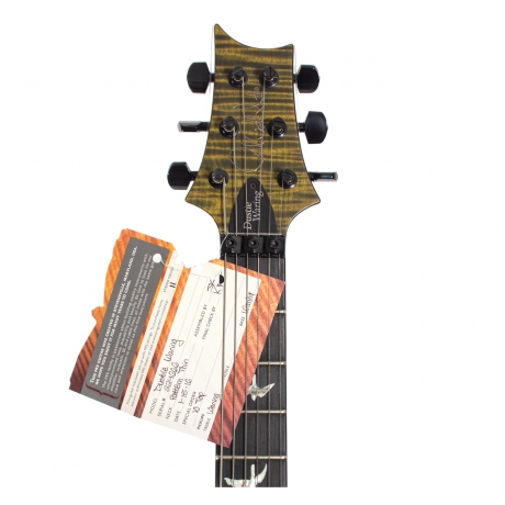 Prs Dustie Waring Signature Limited Edition Floyd Rose Elektro Gitar (Satin jade Green)<br>Fotoğraf: 4/4