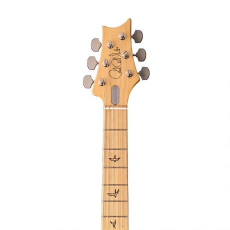 PRS John Mayer Silver Sky Elektro Gitar (Dodgem Blue)<br>Fotoğraf: 4/5