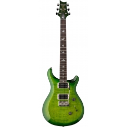 PRS S2 Custom 24 Elektro Gitar (Eriza Verde)