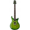 PRS S2 Custom 24 Elektro Gitar (Eriza Verde)<br>Fotoğraf: 1/3