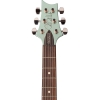 PRS S2 Standard 22 Elektro Gitar (Frost Green Metallic)<br>Fotoğraf: 5/6