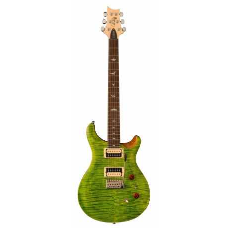 PRS SE Custom 24 08 Elektro Gitar (Eriza Verde)<br>Fotoğraf: 1/1