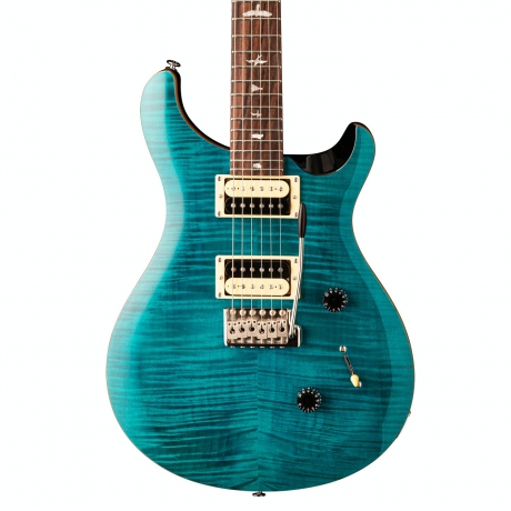PRS SE Custom 24 Elektro Gitar (Sapphire)<br>Fotoğraf: 2/3