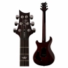 PRS SE Custom 24 Elektro Gitar (Tobacco Sunburst)<br>Fotoğraf: 3/3