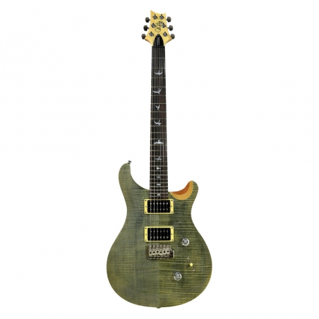 PRS SE Custom 24 Elektro Gitar (Trampas Green)<br>Fotoğraf: 1/1