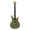 PRS SE Custom 24 Elektro Gitar (Trampas Green)<br>Fotoğraf: 1/1