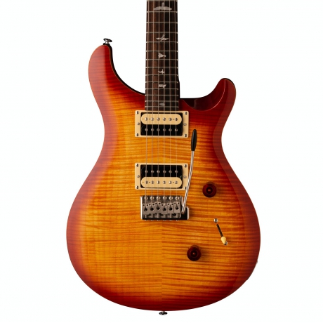 PRS SE Custom 24 Elektro Gitar (Vintage Sunburst)<br>Fotoğraf: 2/4