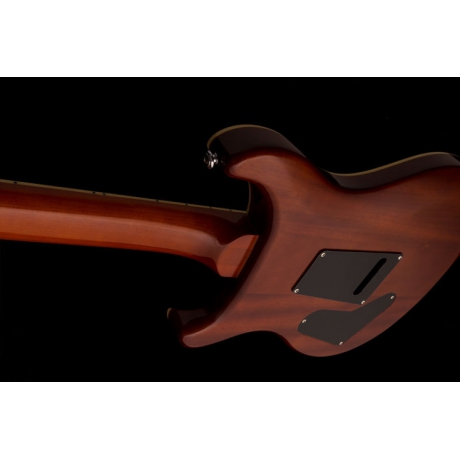 PRS SE Custom 24 Elektro Gitar (Zebrawood)<br>Fotoğraf: 4/5