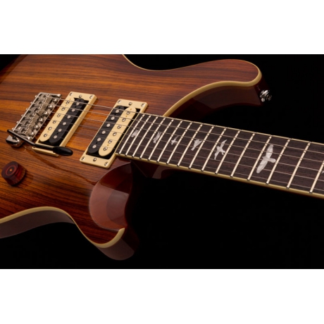 PRS SE Custom 24 Elektro Gitar (Zebrawood)<br>Fotoğraf: 2/5
