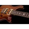 PRS SE Custom 24 Elektro Gitar (Zebrawood)<br>Fotoğraf: 2/5