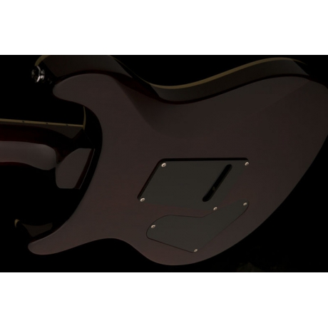 PRS SE Custom 24 Elektro Gitar (Ziricote Top)<br>Fotoğraf: 6/7
