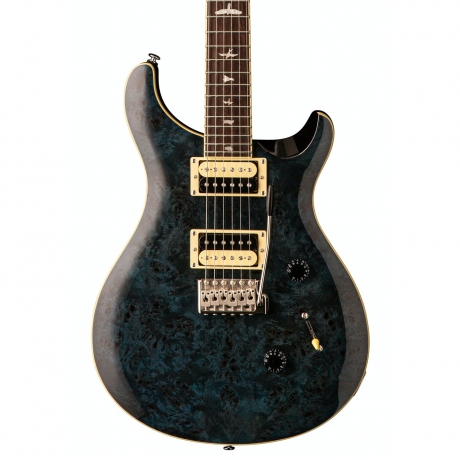 PRS SE Custom 24 Exotic Poplar Burl Elektro Gitar (Whale Blue)<br>Fotoğraf: 2/3