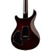 PRS SE DGT Standard Elektro Gitar (Mccarty Tobacco Sunburst), Fotoğraf: 4/6