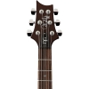 PRS SE DGT Standard Elektro Gitar (Mccarty Tobacco Sunburst), Fotoğraf: 5/6
