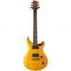 PRS SE Paul's Elektro Gitar (Tobacco Back)<br>Fotoğraf: 1/3