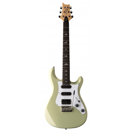 PRS SE Studio Standard Elektro Gitar (Sage Green)<br>Fotoğraf: 1/4