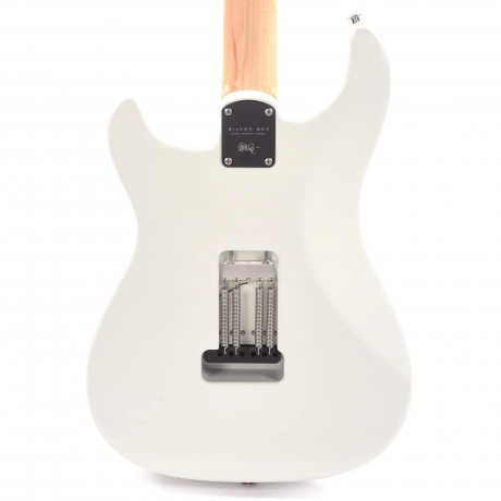 PRS Silver Sky John Mayer Elektro Gitar (Frost)<br>Fotoğraf: 3/6