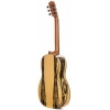 Prudencio Saez3-FL (37) Flamenco Gitar (Abanoz)<br>Fotoğraf: 2/2